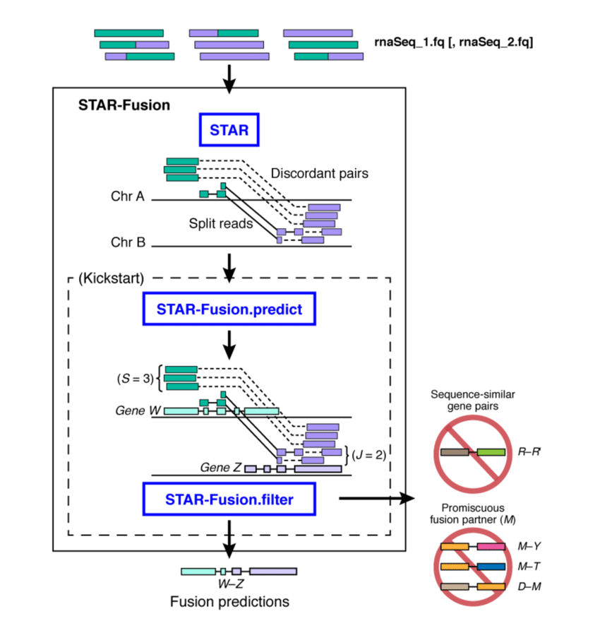 RNA-Seq Alignment and Fusion Pipeline