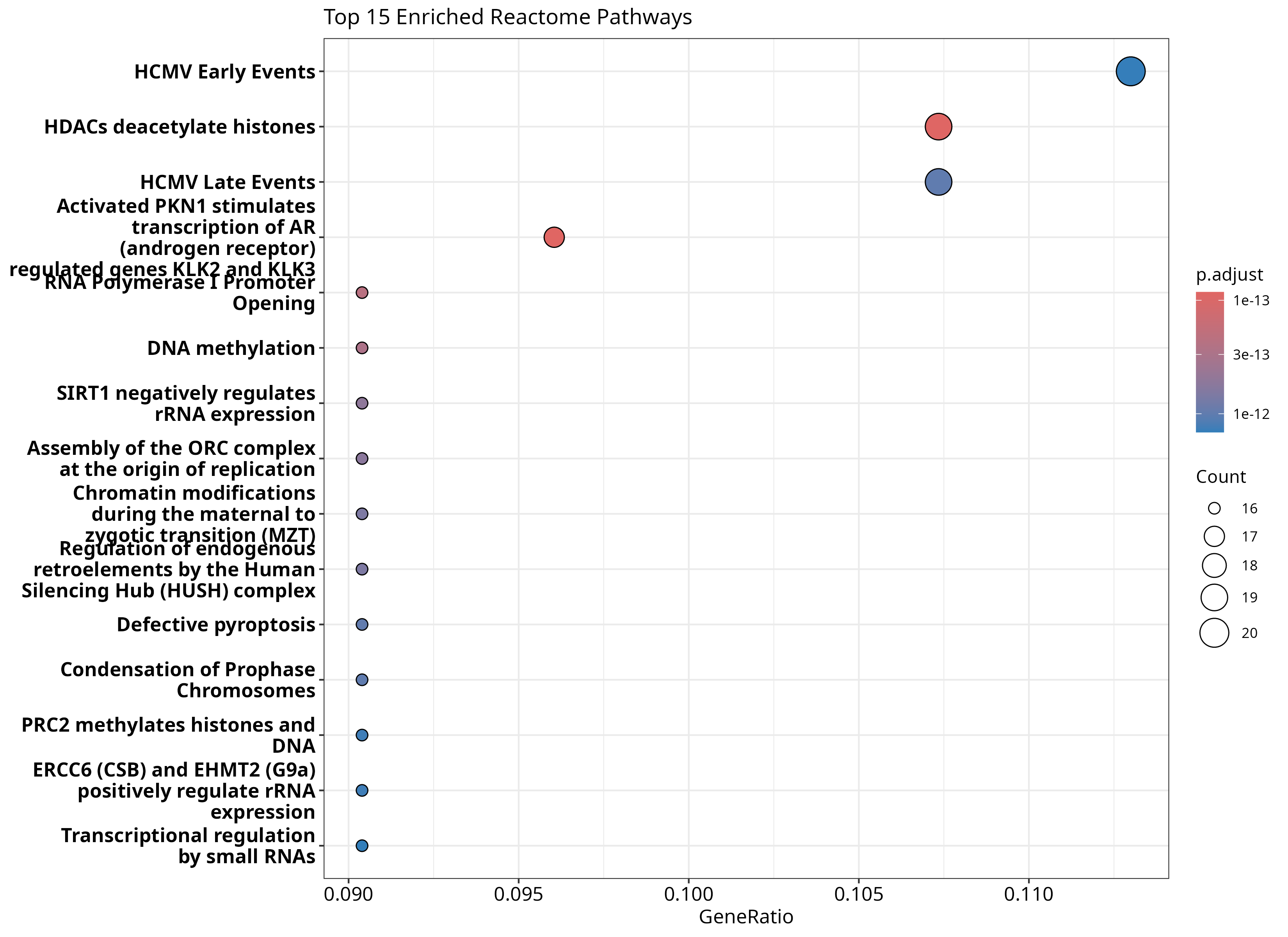 Reactome Pathway Enrichment Dotplot