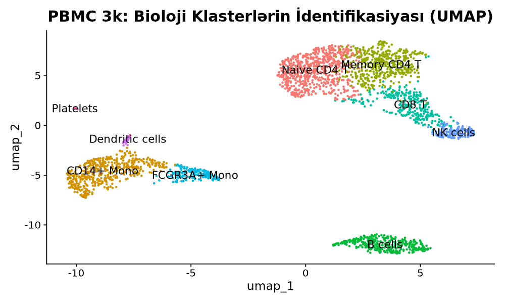 PBMC Final Cell Type Annotation UMAP
